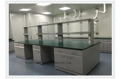 China Customized Chemistry Lab Furniture / Laboratory Working Table With Water Cabinet supplier