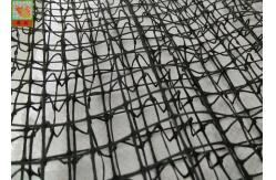 China High Strength Three Dimensional Geomat Erosion Control Netting 300g /Sqm supplier
