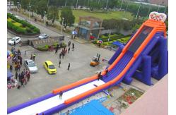 China Huge Shark Inflatable Slide With PVC Material / Blow Up Water Slide supplier