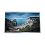 10.1 Inch Tft Lcd Screen Module Display Panel 1024*600 M101GWT9 R4 for sale