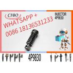 Excavator Diesel Engine Injection Pump Plunger 1086633 1W6541 4P9830 for sale