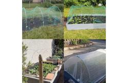 China Direct Selling Pvc mosquito screen Roll For Greenhouse Insect Proof Net supplier