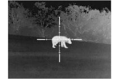 China TS425 TS435 TS450 Thermal Rifle Scope Personal Vision System Outdoor Recreation supplier