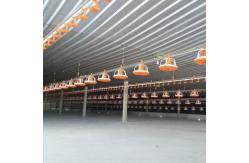 China Automatic Chicken Feeder PVC Pipe Poultry Feeding Pan With Pressure Vessel supplier