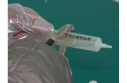 China C025 Tetramethylbenzidine solution supplier