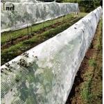 White Fruit Orchard Netting 10gsm - 60gsm Orchard Bird Netting for sale