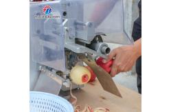 China 220V 35KG Recyclable Piercing Pitting Commercial Fruit Peeling Machine Apple paring onion supplier