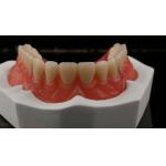 Dentsply Lucitone 199 Acrylic Denture For Full Arch Natural Look for sale