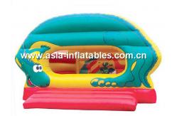 China Castle inflate combo,outdoor inflatable jumping castle supplier