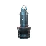 QZ submersible axial flow pump for sale