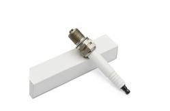 China Engine Spark Plug Replacement for Champion RB75N supplier