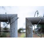Rust Resistance Twist 3or 4inch Barb Distanc Hot Dipped Galvanized Barbed Wire for sale