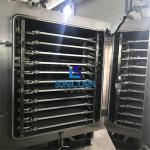 Industrial Freeze Drying Food Equipment 380V 50HZ 3P Stable Reliable Performance for sale