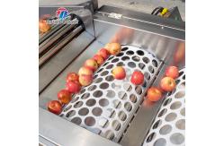 China 3KW 50HZ Fruit And Vegetable Processing Line Washing Sorting Machine supplier