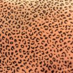 Leopard Dot Printed 180cm Rib Stretch Knitted Fabric Polyester Cotton Dress Fabric
