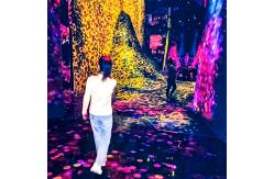 China Exibhition With Interactive Projection Immersive Projector Indoor Experience supplier