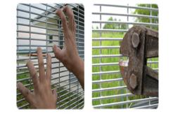 China Strong Tensile Galvanized Welded Wire Mesh Fence With Standard Size supplier