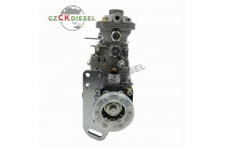 China VE Pump Diesel Pump 0460414013 VE4/11F1250L164 4794588 for 3.9L Engine supplier