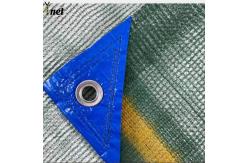China Green Olive Harvest Net 8x12m 8x14m Fruit Collection Net 90g supplier