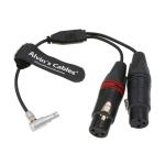 10cm 5 Pin Male To 15cm 3 Pin Female Audio Cable For Z CAM E2 Camera for sale