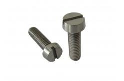 China Customized Titanium Slotted Head Screws For Industrial supplier