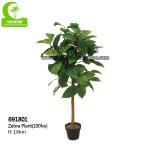 Good-Looking Homesense Artificial Plants Artificial Zebra Plant Garden Decor for sale