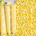 Multifunctional Corn Thresher Machine 500kg/H Size Adjustment