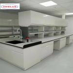 Custom Chemistry Lab Bench Cupboards Racks and Rails Designed as Specified for sale
