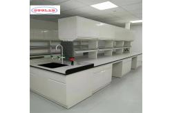China Custom Chemistry Lab Bench Cupboards Racks and Rails Designed as Specified supplier