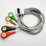 DMS 5 Lead Holter ECG Cable AHA CE/ISO13485 Available For ECGEKG Machine for sale