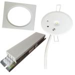 Indoor Ceiling LED Self Testing Emergency Lights For Goverment Buildings