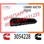 Diesel Engine Fuel Injector 3069767 4913325 3054228 4914308 3045102 For Cum-mins NT855 Engine for sale