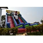 Big Inflatable Super Mario Subject High Slide Beautiful Inflatable Digital Painting Tall High Dry Slide for sale