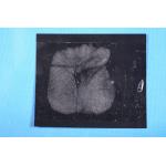 C157 Black low gloss palm print backing sheet