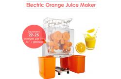 China High Output Industrial Orange Juicer Machine Lemon Squeezer With Auto Pulp Removal supplier
