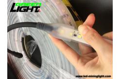 China 240W SMD5050 LED Flexible Strip Lights Waterproof IP68 72 LEDs supplier