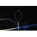 Clinical Operating Standard Snare For Polypectomy Disposable Using