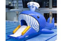 China Aquatic Park Games Jumbo Inflatable Dolphin Water Slide With Obstacle Tunnle supplier