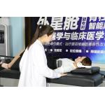 Accurate Positioning Lumbar Decompression Machine Spinal Decompression Table