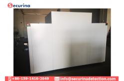 China SA6040 Television Introscope X Ray Baggage Scanner with Penetration 32mm Steel supplier