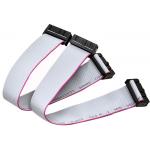 Double Head Terminal Transmission 200mm IDC Ribbon Cable for sale