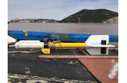 China Deepwater Magnetic Gradiometer for Marine Salvage Detection supplier