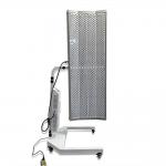 1350W 660nm 810nm Anti Aging Red Light Physical Therapy Equipments for sale
