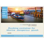 20FT 40FT International Sea Freight Forwarding , DDP Shipping From China To Pakistan for sale