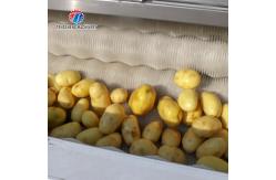 China Vegetable Hair Roller Bubble Washing Selection Cutting Machine Production Line supplier