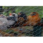 Poultry Netting Chicken Wire Mesh , Plain Weave Galvanized Hexagonal Wire Mesh