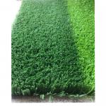 2*25m PP Natural Artificial Grass 12000 Dtex Multi Sports Turf
