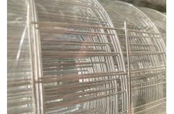 China Customised 1 Inch Galvanized Welded Wire Mesh 120g/M2 Zinc Coating supplier