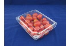 China OEM/ODM Clamshell Package Plastic Packaging Boxes Food Grade supplier