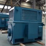 ODM High Performance AC Motor Low Maintenance Rare Earth NdFeB Material for sale